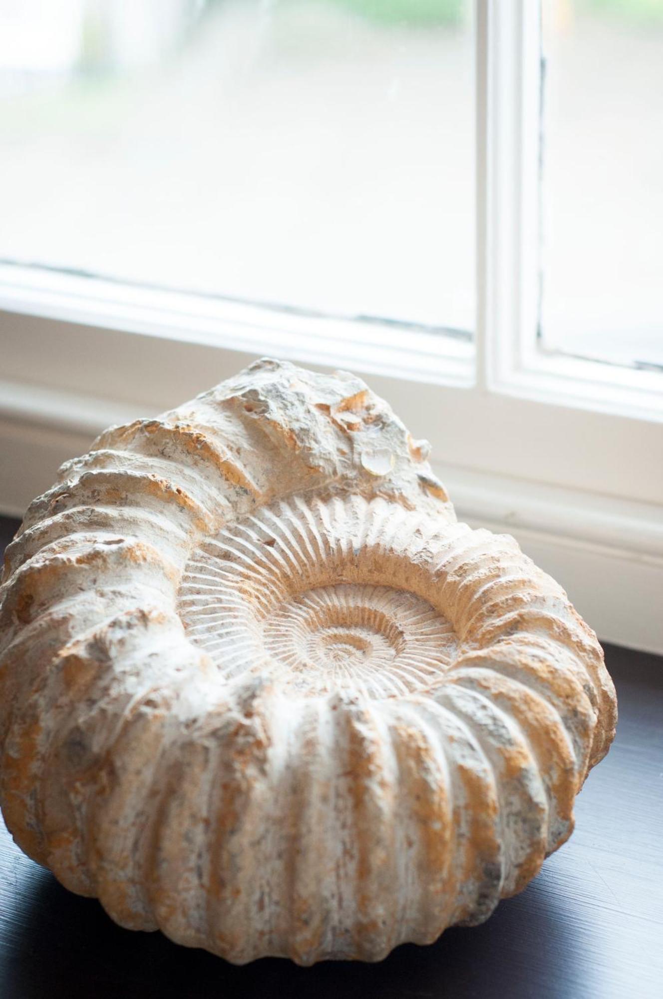 The Priory Bed and Breakfast Middleham Δωμάτιο φωτογραφία