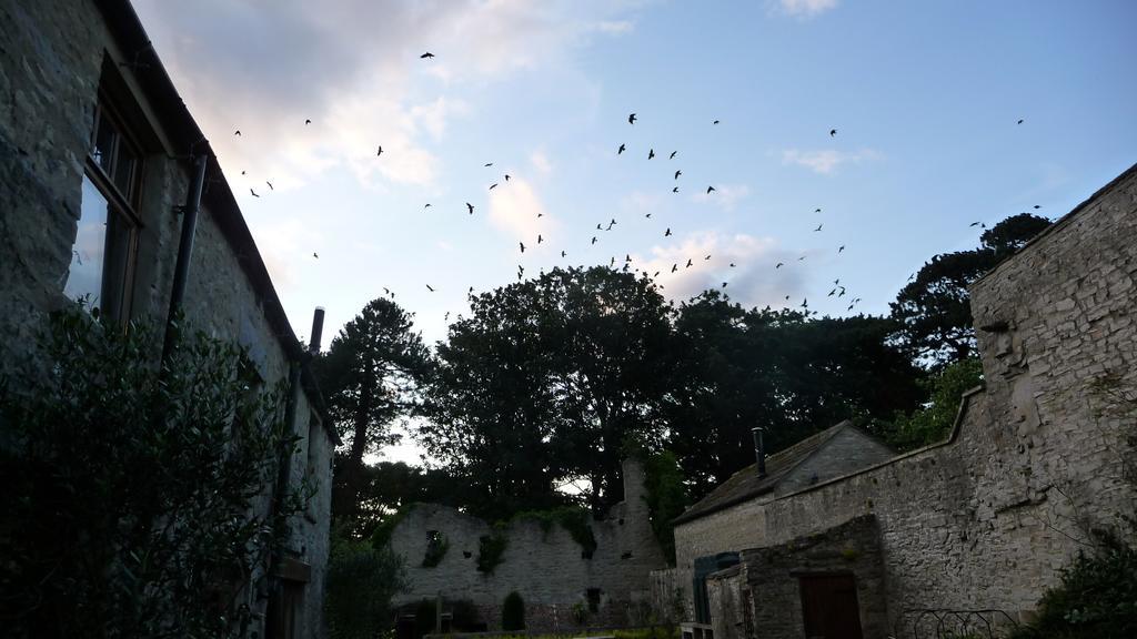 The Priory Bed and Breakfast Middleham Εξωτερικό φωτογραφία